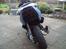 PGO Dr. big