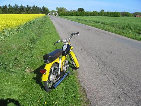 Puch MS50 billede 2