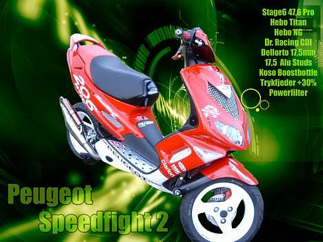 Peugeot Speedfight2 Wrc 206 Solgt - Photoshop! billede 1