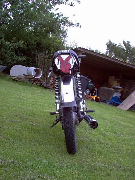 Puch Monza BYTTET TIL NEO`S billede 7