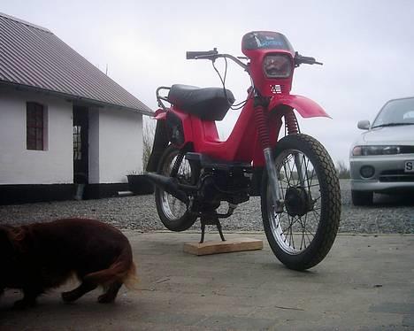 Yamaha Sting >SOLGT< - FORFRA billede 8