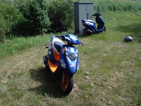 Honda SFX billede 5