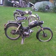 Puch ms50