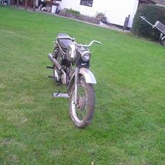 Veteraner taarnby trigger. solgt.