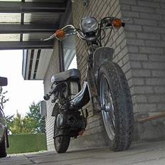 Suzuki Fz 50 - SOLGT