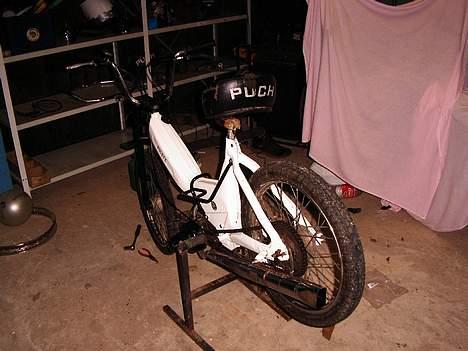 Puch Maxi billede 12