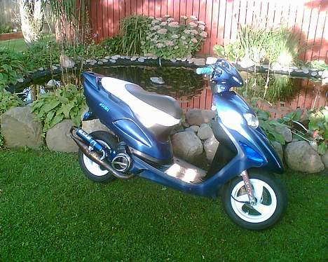 Honda SFX AC "Vilddyret" billede 11