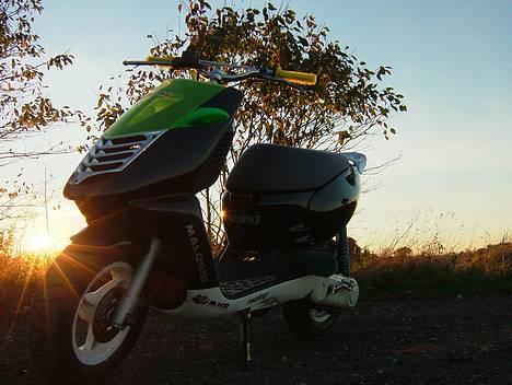 Aprilia Sonic » TBK •Byttet•  - Lækker er den sgu selvom den er lidt beskidt :D billede 13