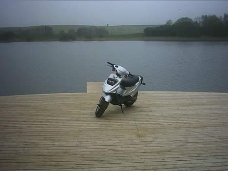 PGO Hot 50 SOLGT - et billede taget ved en sø pænt ik ? billede 5