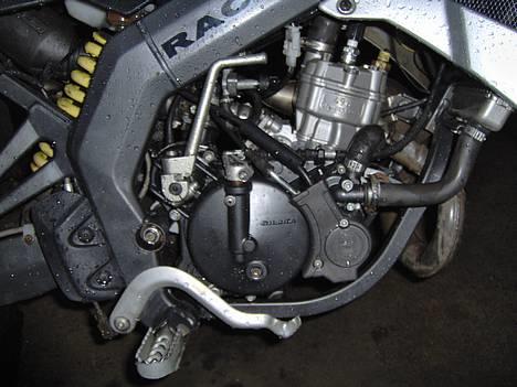 Gilera Rcr - solgt billede 11