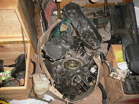 PGO Hot 50 ( solgt ) billede 5