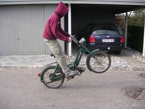 Puch Maxi e50 - Slæden kan stejle, ihvetfald når Dion sidder på den..:D billede 1