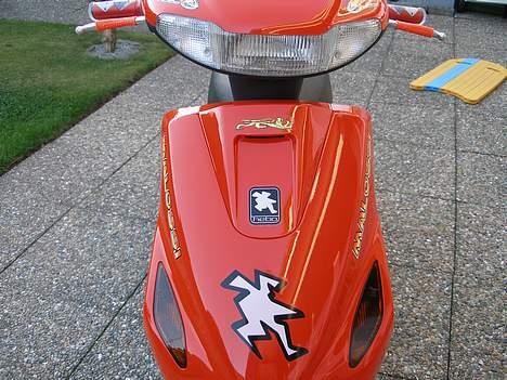 Yamaha Axis Custom (Solgt) billede 2