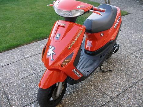 Yamaha Axis Custom (Solgt) billede 5