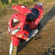 Peugeot SpeedFight 2 wrc 206