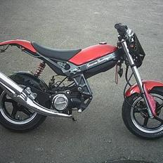 Suzuki Street magic SOLGT