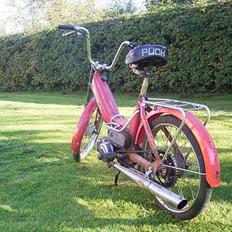 Puch Maxi K (projekt)