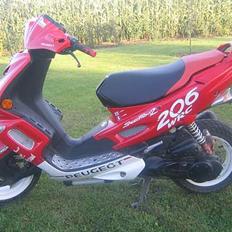 Peugeot speedfight 206 wrc