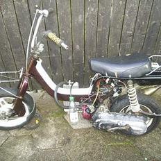 Suzuki FZ50 LC