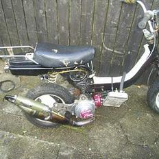 Suzuki FZ50 LC