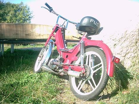 Puch maxi kl  (solgt) billede 7