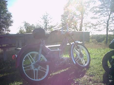 Puch maxi kl  (solgt) billede 10