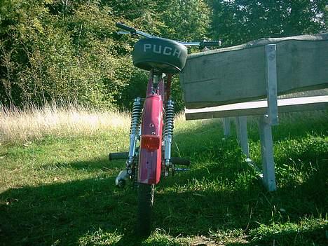 Puch maxi kl  (solgt) billede 13