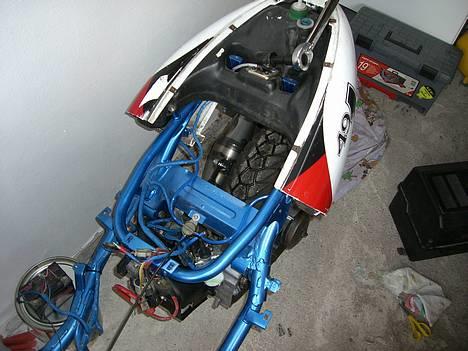 Benelli 491 billede 7