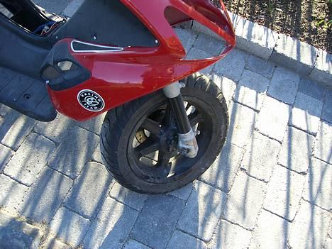 Benelli 491 - Carbon forgaflen! billede 9