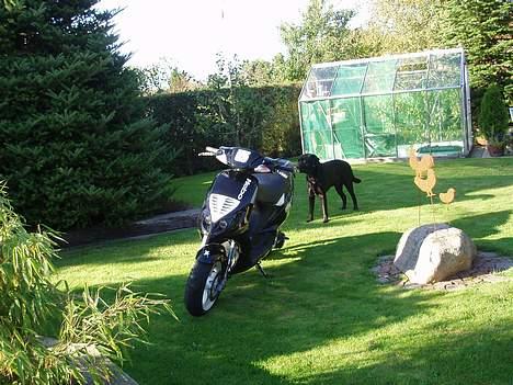 Piaggio NRG Mc3 4ever Solgt billede 10