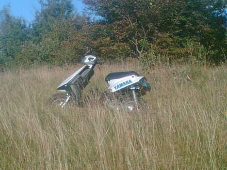 Yamaha Jog Fs (byttet til bws) billede 3