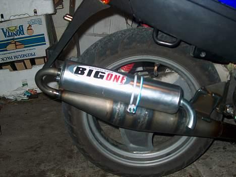 Adly Arriva billede 6