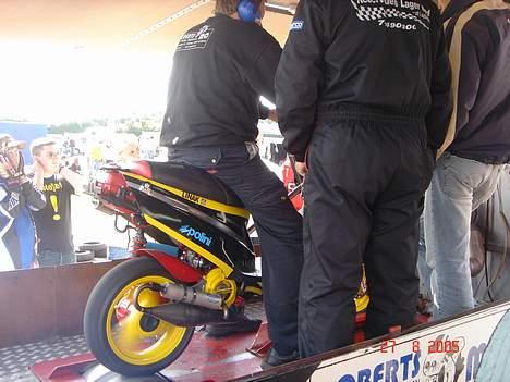 PGO Hot 50 / piaggio billede 7