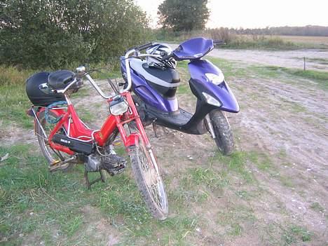 Puch Maxi P billede 10