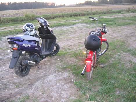 Puch Maxi P billede 11