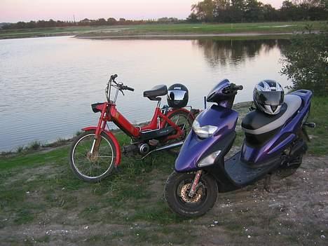 Honda sfx slogt billede 12