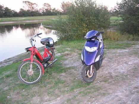 Honda sfx slogt billede 13