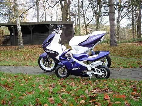 MiniBike Mini aerox billede 2