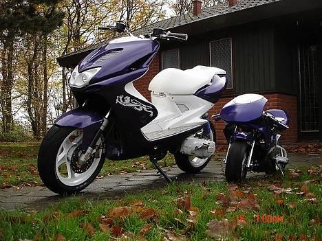 MiniBike Mini aerox billede 4