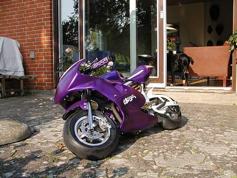 MiniBike Mini aerox billede 8