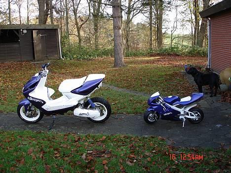 MiniBike Mini aerox billede 10