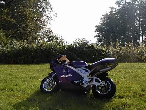 MiniBike Mini aerox billede 13