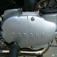 Yamaha Fs-1 