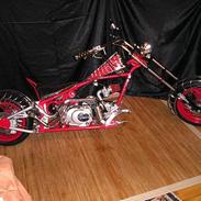 MiniBike Spider