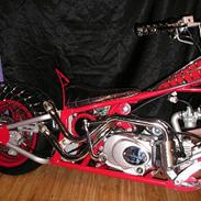 MiniBike Spider