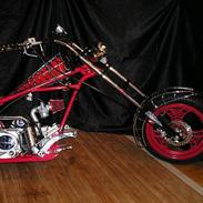 MiniBike Spider