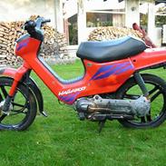 Honda Wallaroo