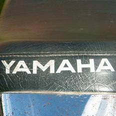Yamaha 4g Byttet til dr. Big