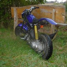 Suzuki Street Pussy SOLGT