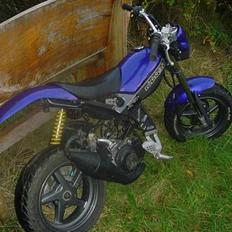 Suzuki Street Pussy SOLGT